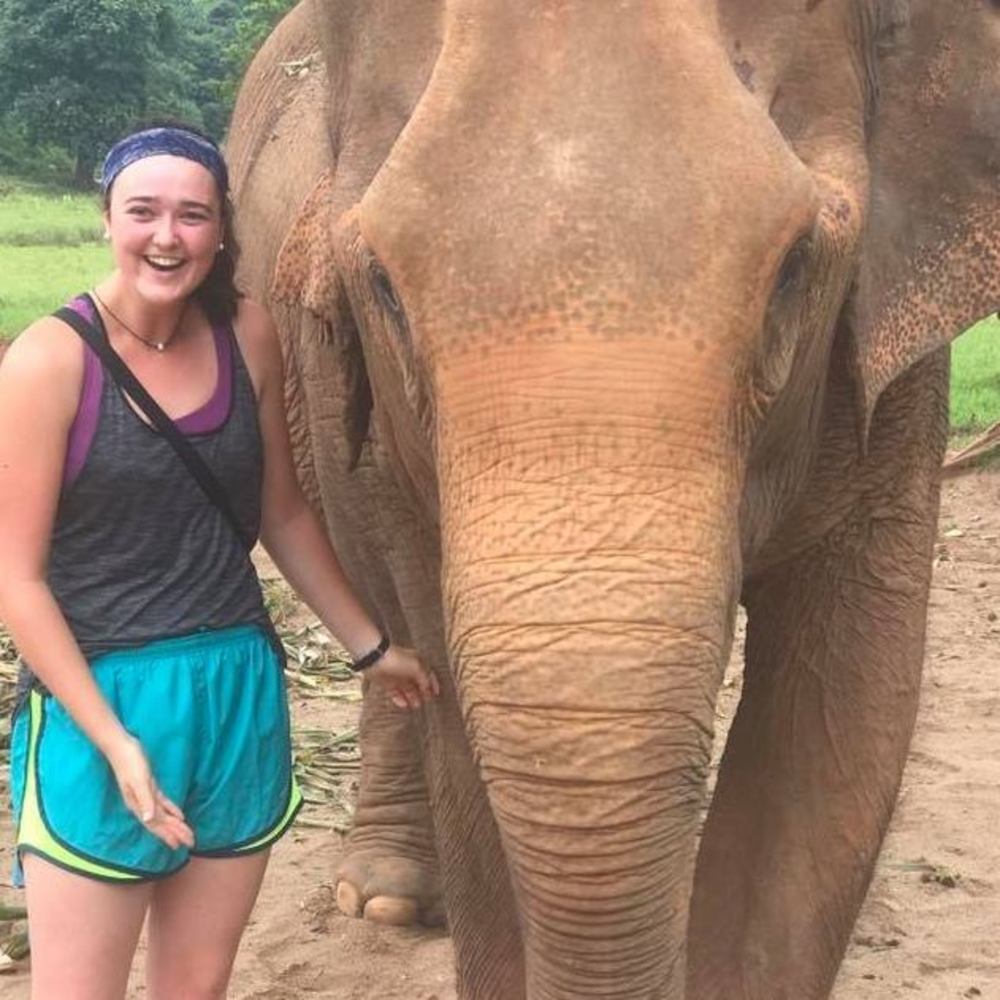 Meet your Posher, Catie